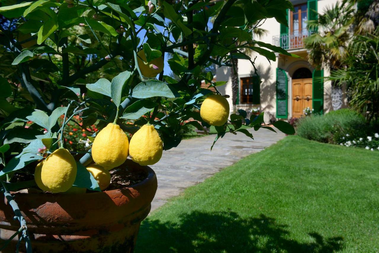 Villa Le Facezie B&B Terranuova Bracciolini Exteriér fotografie